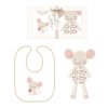 FS876: Bib & Teddy Gift Set